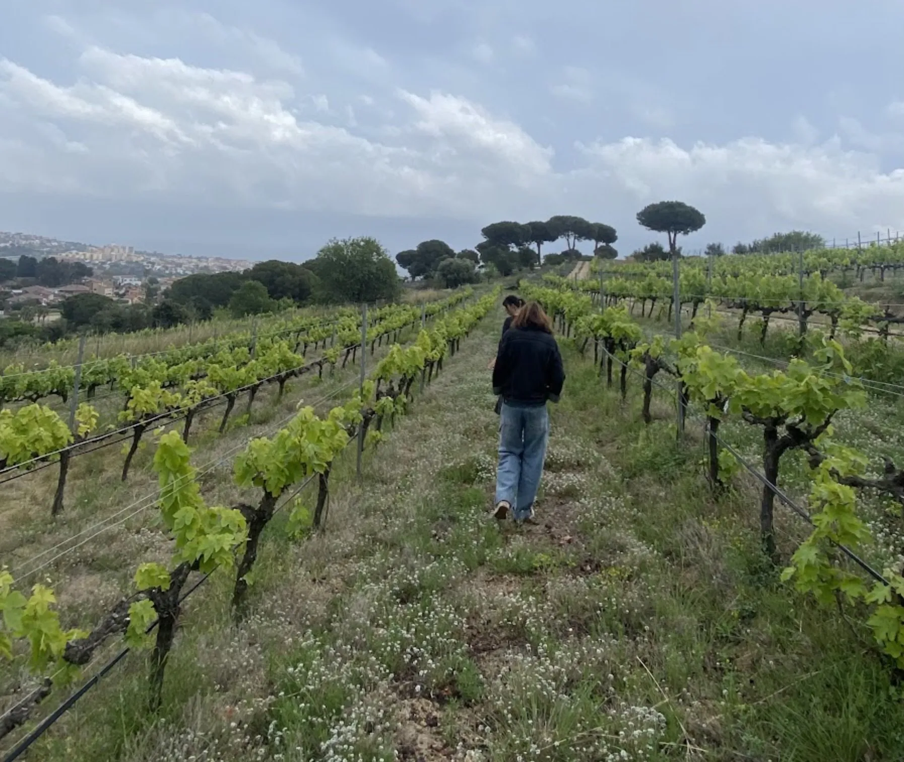 Opportunity to level up