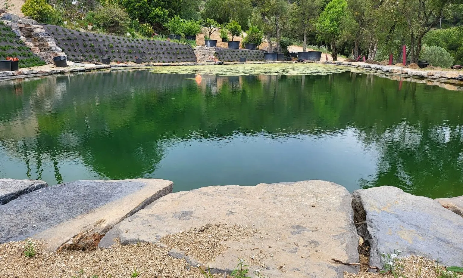 WWOOFing and biofilter for the pond