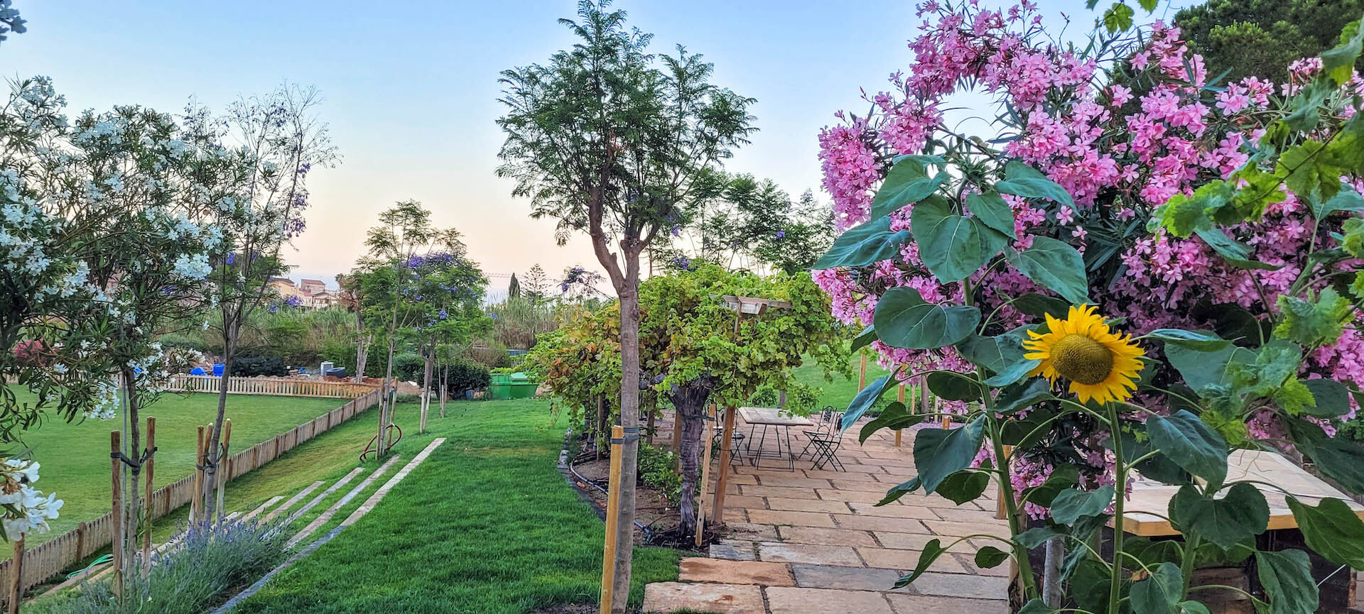 International Green Tech Foundation center at Can Picard Farm