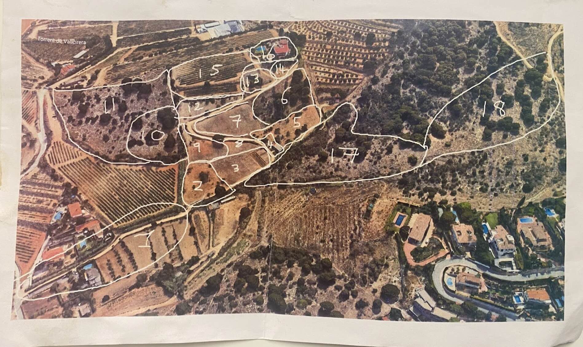 Environmental Studies Internship at IGT