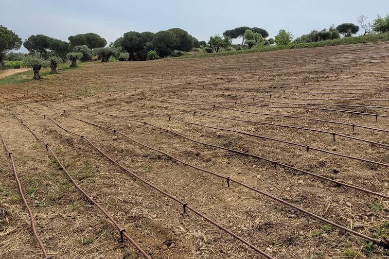 Irrigation technology at the International Green Tech Foundation