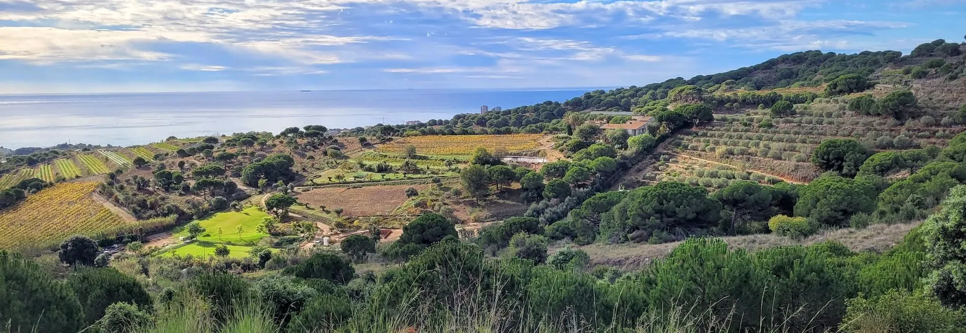 Can Picard property in Alella