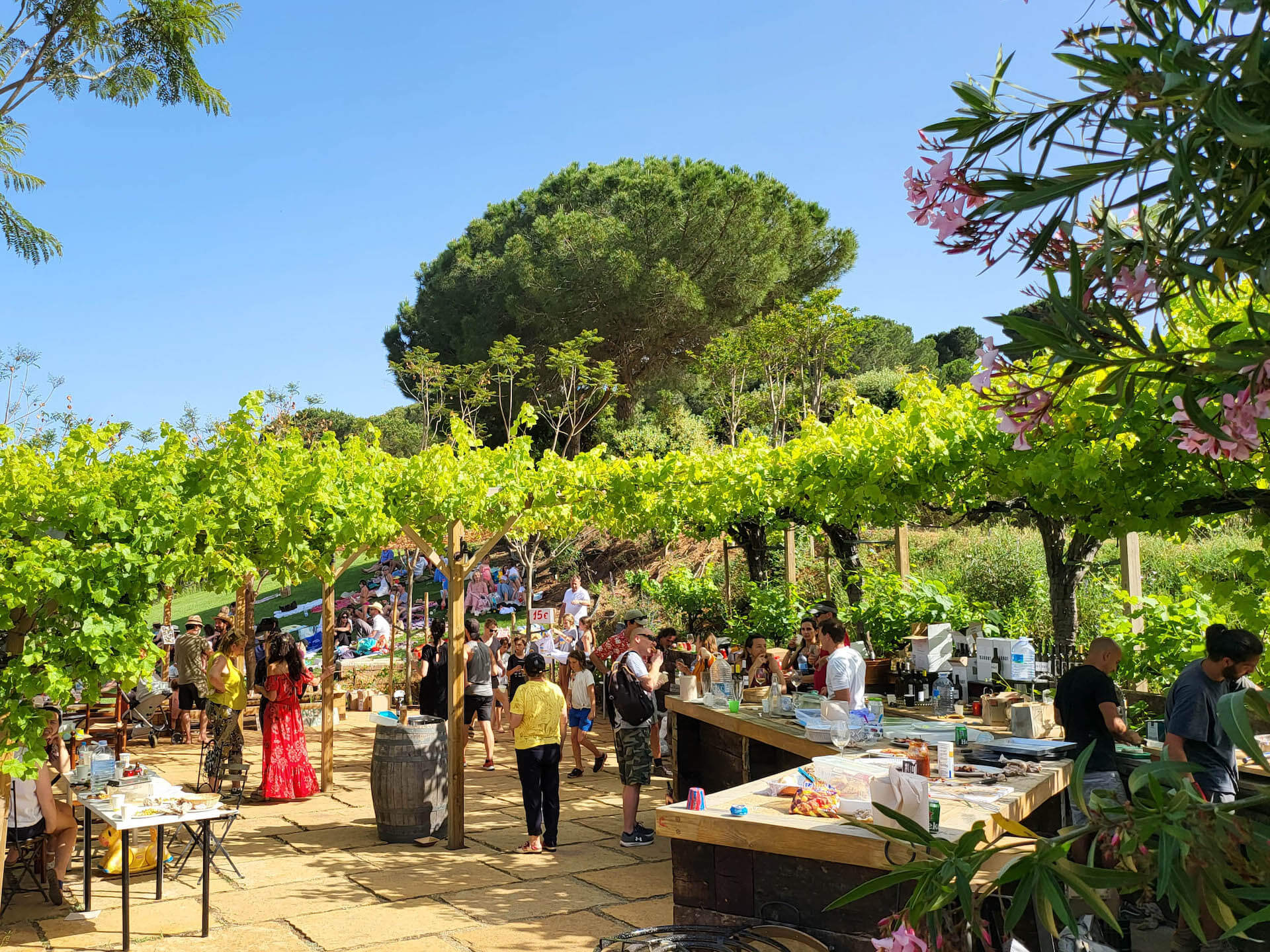 Mayday for Ukraine 2022