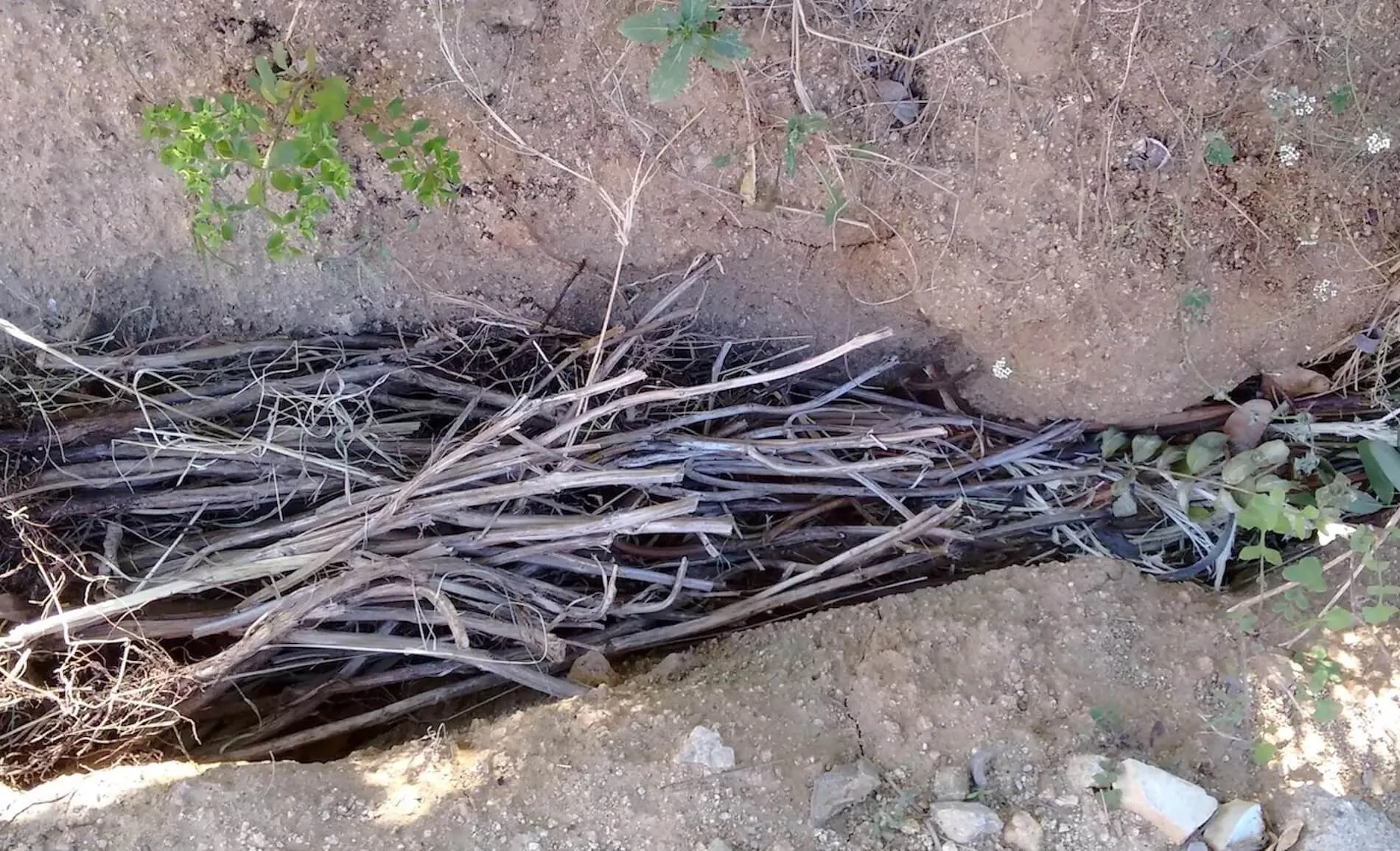 Erosion prevention with benefits